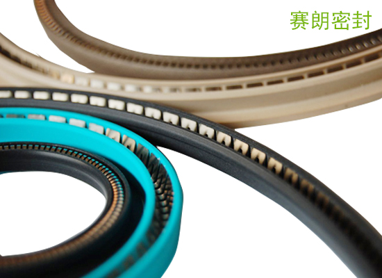 弹簧蓄能密封圈 弹簧蓄能密封圈